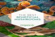 THE BEST BENEFICIAL MUSHROOMS - organixx.com · • Gilled mushrooms including Shiitake (Lentinula edodes) and Lion’s Mane (Hericium erinaceus), the ball-shaped mushroom with cascading