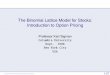 The Binomial Lattice Model for Stocks: Introduction …ks20/4404-16-Fall/Simulation-BLM.pdf · The Binomial Lattice Model for Stocks: ... Matching Portfolio Method 1 ... The Binomial