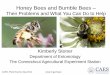Honey Bees and Bumble Bees - Connecticut · CAES- Plant Science Day 2014  Honey Bees and Bumble Bees – Their Problems and What You Can Do to Help Kimberly Stoner
