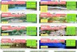 Adobe Photoshop PDF - urauchigawa.comeng).pdf · No reservation required Urauchi River Jungle Cruise Adult: ¥1,800 Childe: ¥900 Departure timc Iriomote Island is covered by dense