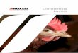 Commercial Layers - Roxell€¦ · ROXELL, is the worldwide leader in automatic feeding, drinking, nesting, ventilation and heating systems for the poultry and pig industry. Our success