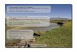 Document Review Report - Welcome to Utah …mitigationcommission.gov/watershed/jordan/pdf/jordan-river... · Document Review Report ... The project objective is the restoration of