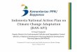 Indonesia National Action Plan on Climate Change ... · Indonesia National Action Plan on Climate Change Adaptation (RAN-API) ... RAN-API Review Mechanism • RAN-API Document possible