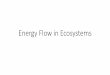 Energy Flow in Ecosystems - Main Home · Energy Flow in Ecosystems. TEKS B.12C Analyze the flow of matter and energy through trophic levels ... 10% Rule of Ecological Pyramids