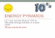 ENERGY PYRAMIDS - apesenvision.weebly.comapesenvision.weebly.com/uploads/3/7/9/3/37932695/... · ENERGY PYRAMIDS LT: I can use the Rule of 10% to calculate energy transfer in a food