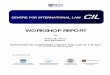 WORKSHOP ON SUBMARINE CABLES & LAW OF … · cil report: workshop on submarine cables and law of the sea 2 workshop on submarine cables & law of the sea, 14 – 15 december 2009,