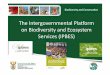 The Intergovernmental Platform on and Services (IPBES)biodiversityadvisor.sanbi.org/.../uploads/2017/12/1.-Naicker-IPBES.pdf · BRIEF BACKGROUND • Overall objective: To provide