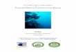 Coral Cay Conservation Proposed Marine Protected …Proposed... · Grouper were entirely absent from transects one and three; ... cooperation of Maam enita Dipay, Liloan Municipal