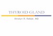 THYROID GLAND - Angelfire: Welcome to Angelfire · Amelyn R. Rafael, MD. ... Pituitary myxedema – the TG responds to the administration of TSH ... symptoms in some (myxedema madness)