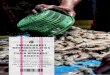Supermarket Responsibilities for Supply Chain … · CONTINUING CHALLENGES IN SEAFOOD SUPPLY CHAINS AND THE CASE FOR STRONGER SUPERMARKET ACTION supermarket responsibilities for …