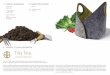 2.1 PRODUCT TITLE AND DESCRIPTION Tilly Tote. · Tilly Tote. The Tilly Tote is a flat pack gardening kit built with a nutritious life-cycle and healthy lifestyle in mind. ... and