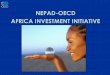 NEPAD-OECD AFRICA INVESTMENT INITIATIVE · NEPAD-OECD Africa Investment Initiative 3 1. ... % Population living on less than $1 a day Source: ... Madagascar Senegal The Gambia Cape