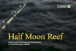 Half Moon Reef - Nature Conservancy · Half Moon Reef, a 54-acre restored ... FHM. Sub-tidal (fully submerged underwater) Designed to maximize structural complexity for long- 