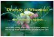 Diversity of Wisconsin Rosidscourses.botany.wisc.edu/botany_401/pdf/401_10Fabales.pdf · Cannabaceae - marijuana family. Hemp farm outside Ripon Cannabaceae- marijuana family Industrial