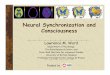 Neural Synchronization and Consciousnesscogsys.sites.olt.ubc.ca/files/2016/09/Binocular-Rivalry-Slides.pdf · scalp-wide MEG-sensor coherence at driven ... left eye; 1476 right eye