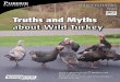 Truths and Myths about Wild Turkey - FNR-264-W · History of Wild Turkey in Indiana The wild turkey (Meleagris gallopavo) is a large game bird native to Indiana. The restoration of