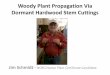 Woody Plant Propagation Via Dormant Hardwood …ncbg.unc.edu/uploads/files/CERT_Woody PlantPropagation_Schmidt.pdf · Woody Plant Propagation Via Dormant Hardwood Stem Cuttings 