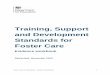 Training, Support and Development Standards for … · Foster Care TSD Standards – Evidence Workbook 2 Providing evidence . Welcome to your evidence workbook which should be used
