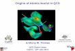Origins of Atomic Nuclei in QCD - University of Adelaide · Origins of Atomic Nuclei in QCD . ... Intermediate range NN attraction is STRONG Lorentz scalar ... RPA correlations repulsive