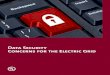 Data Security Concerns for the Electric Grid · page 4 Data Security Concerns for the Electric Grid in place to identify known vulnerabilities in equipment that has already been deployed,