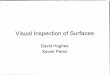Visual Inspection of Surfaces - NASA · Experiment Purpose Evaluate the parameters that affect visual inspection of cleanliness - Current standards do not account for surface type,