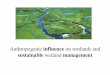 sustainable wetland management - SGGWlevis.sggw.waw.pl/wethydro/contents/ws4/introduction.pdf · behavior is called compliance. ... The process of achieving organizational goals by