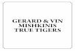 GERARD & VIN MISHKINIS TRUE TIGERSs.afl.com.au/staticfile/AFL Tenant/Richmond/Images/2 Pavers - 200mm... · adrian, betty, david, gwenyth, john and michael. ... yellow and black tigers