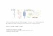 Novel Synthetic Biology Tools for Metabolic Engineering … · THESIS FOR THE DEGREE OF DOCTOR OF PHILOSOPHY Novel Synthetic Biology Tools for Metabolic Engineering of Saccharomyces