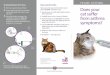 FELINE ASTHMA Tips and tricks Does your cat su˜er … · Here are some tips and tricks from some other AeroKat* Chamber users. Reward your cat with treats before and/or after treatment