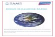 OCEAN CHALLENGE BADGE - Girlguiding Scotland · OCEAN CHALLENGE BADGE We live on the blue planet. 70% of the Earth’s surface is covered by ocean, ... • Shallow trays with water
