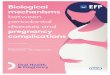 Biological mechanisms between periodontal diseases … · Biological mechanisms between periodontal diseases and pregnancy complications Report co-authored by Dr Mervi Gürsoy and