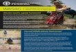 WASAG Water Scarcity in Agriculture The Global … · The Global Framework on WASAG Water Scarcity in Agriculture Water scarcity is one of the greatest challenges of the twenty-first
