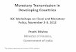 Monetary Transmission in Developing Countries - … · Monetary Transmission in Developing Countries IGC Workshops on Fiscal and Monetary ... Heterogeneous Panel Estimates (with Peter