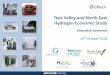 Tees Valley and North East Hydrogen Economic Study · Tees Valley and North East Hydrogen Economic Study Executive Summary 16th October 2014