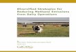 Diversiﬁed Strategies for Reducing Methane Emissions … · Diversiﬁed Strategies for Reducing Methane Emissions from Dairy Operations by Adam Kotin, Martha Noble and Jeanne Merrill