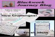 Blackwork Journey Blog, February 2017 February 2017.pdf · Blackwork Journey Blog, February 2017 3 Blackwork Journey © CH0349 Sampler 2 The design area is 10 x 10 inches, so the