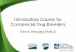 Introductory Course for Commercial Dog Breeders · Introductory Course for Commercial Dog Breeders Part 8: Housing (Part 2) ... Lighting • Sufficient light for inspection, cleaning