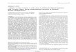 Cellular Levels of Class 1 and Class 3 Aldehyde ...clincancerres.aacrjournals.org/content/clincanres/3/11/1901.full.pdf · and class 3 aldehyde dehydrogenases (ALDH.1 and ALDH-3,