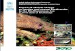 Impact of climate change on marine - RAC SPArac-spa.org/sites/default/files/doc_cop/c_clim_en.pdf · Impact of climate change on marine ... Introduction 4 2. A better understanding
