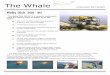 The Whale Underwater ROV System · Moby Dick 300 - 3D The Moby Dick 300-3D is a versatile underwater robot for various tasks at depths up to 300 meters. 300 meter (1,000ft) depth
