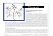 Vaccinium myrtillus (Bilberry) Monograph · Fitoterapia 1987;48:3-8. 11. Amella M, Bronner C, Briancon F, et al. Inhibition of mast cell histamine release by flavonoids and bioflavonoids