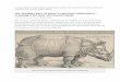 The shoulder horn of Dürer´s marvelous … The shoulder horn of Dürer´s marvelous Rhinocerus – revealing a 501 year old mystery beast ... its bizarre beauty