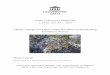 Climate Change and Alpine Vegetation Shifts on … · Lichens and bryophytes ... highly productive thermophilic species with the potential to overgrow local alpine plants (Callaway