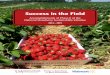 Success in the Field - The National Strawberry …strawberry.uark.edu/NSSI_Phase_II_EBook_2015.pdf · Success in the Field Accomplishments of Phase II of the National Strawberry Sustainability
