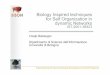 Biology Inspired techniques for Self Organization in ... · Project funded by the Future and Emerging Technologies arm of the IST Programme Biology Inspired techniques for Self Organization