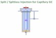Split / Splitless Injection for Capillary GC · Split / Splitless Injection Overview 4. ... Injection Volume: 1ml (check for backflash) Liner: Straight through (deactivated and packed