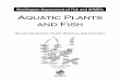 Aquatic Plants and Fish - Washingtonwdfw.wa.gov/publications/01728/wdfw01728.pdf · Aquatic Plants and Fish Rules for Aquatic Plant Removal and Control . July 2015 2nd Edition. Washington