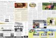 For The Colchester Sun - Highland Acres in The Colchester Sun.pdf · For The Colchester Sun ... •