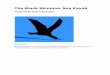 The Black Skimmer Sea Kayak - ckfkayak.clubckfkayak.club/duane/pdf/BlackSkimmer.pdf · The Black Skimmer sea kayak. ... The narrow, flared, and V hull, ... For example, one of the