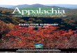 Appalachia Then and Now, Examining Changes to the ...€¦ · Examining Changes to the Appalachian Region Since 1965 ... Economic and Industry Mix ... the case for creating a focused